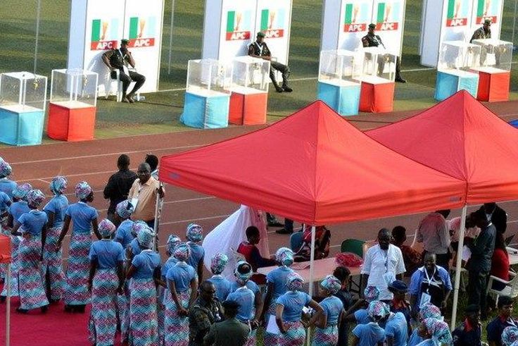 APC primaries