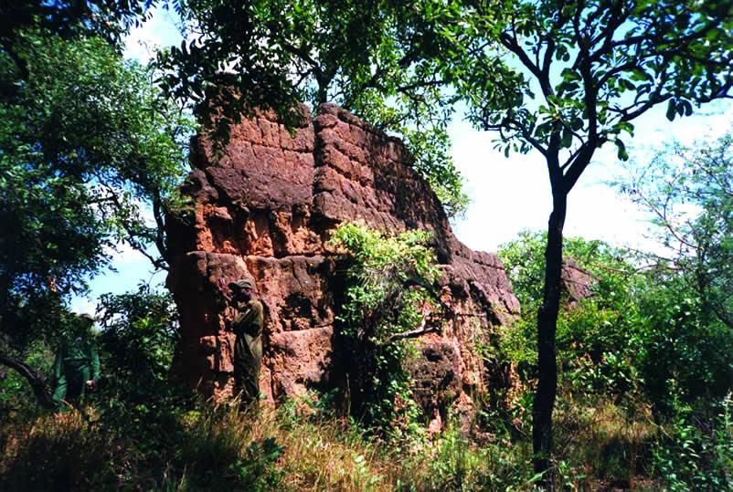 Nigeria is home to Africa's largest single ancient monument. [cometonigeria]