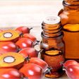 Palm Kernel Oil: The health benefits of this organic product are priceless  [Global]