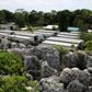 Around 160 people remain on the island of Nauru, including women and children