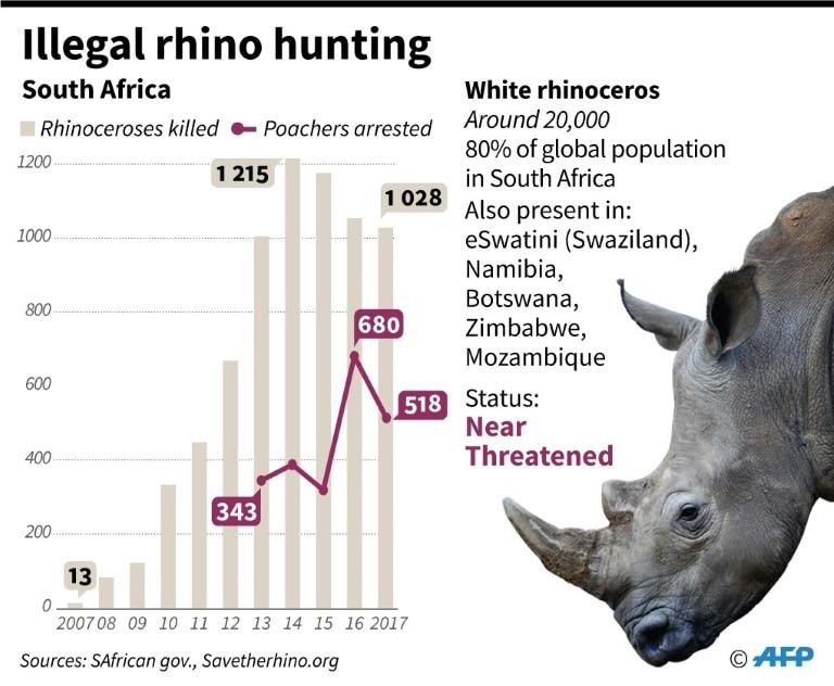 Data on the African white rhinoceros.