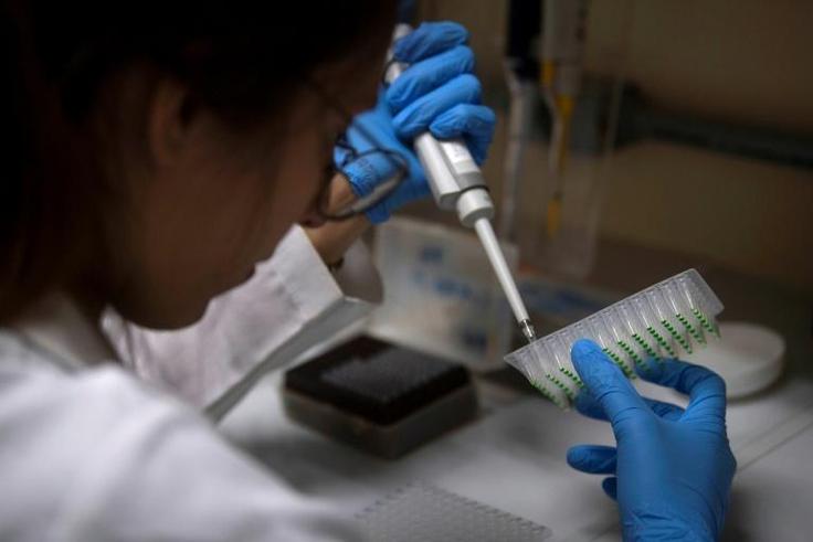 A student of the Federal University of Rio de Janeiro works at a biology laboratory