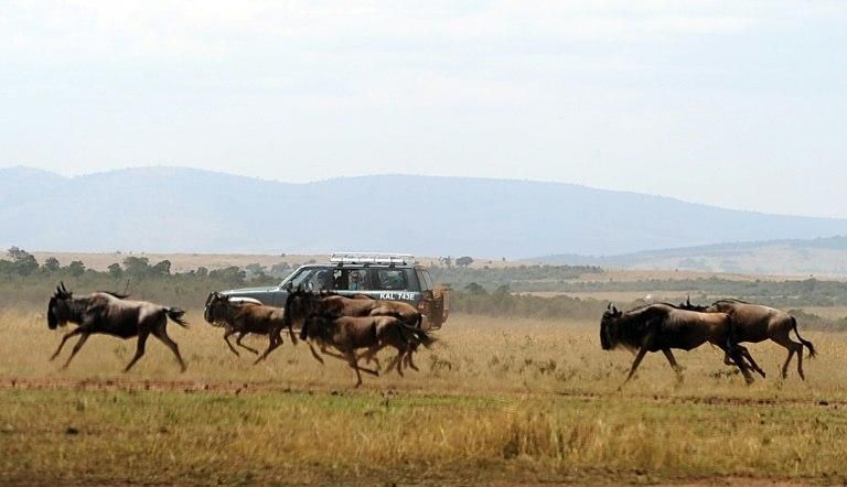 Tourism is now the second largest driver of growth in Kenya, home to some of the world's most visited safaris