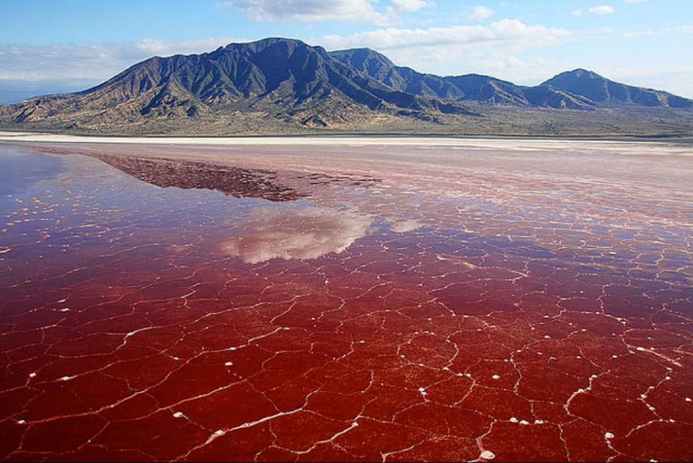 Lake Natron, Tanzania. [pandotrip]