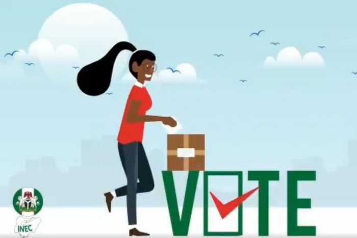 INEC's guideline on casting votes