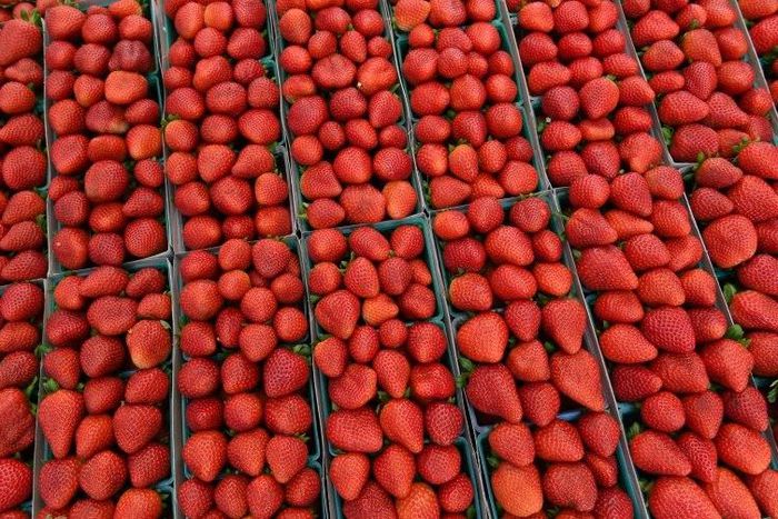 Australia's strawberry industry faces a threat from a mystery saboteur