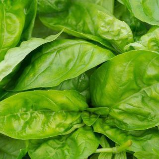 Spinach