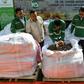 Malaysia is battling to clamp down on rife trafficking through its borders of the ant-eating mammals, whose scales are highly valued in traditional Chinese medicine