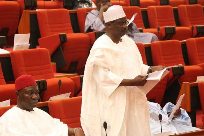 Senator Ali Ndume