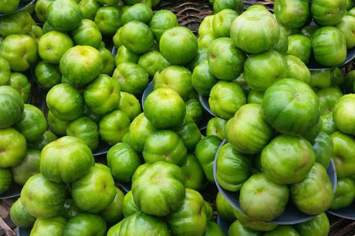 Garden Egg: The health benefits of this plant are incredible  [Daily Advent]