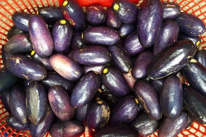 Ube: Health benefits of African or bush pear
