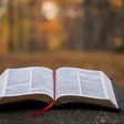 bible