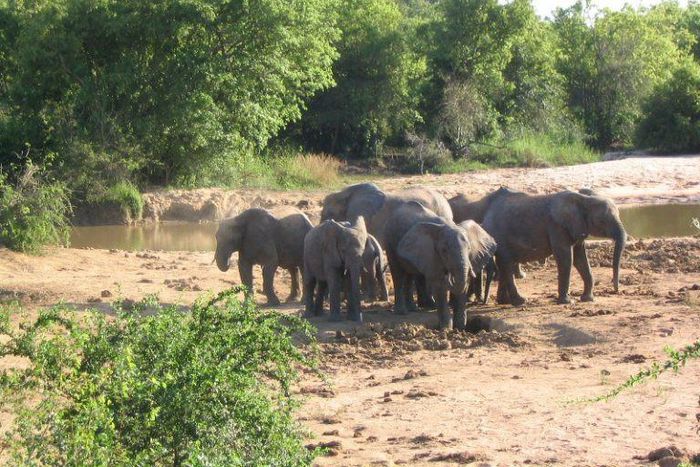 Yankari Games Reserve and Resort, Bauchi.