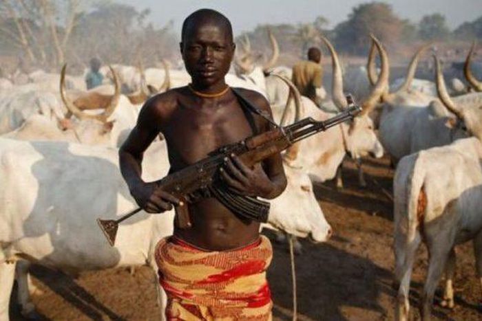 Armed Fulani herdsman
