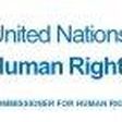 Office of the UN High Commissioner for Human Rights (OHCHR)