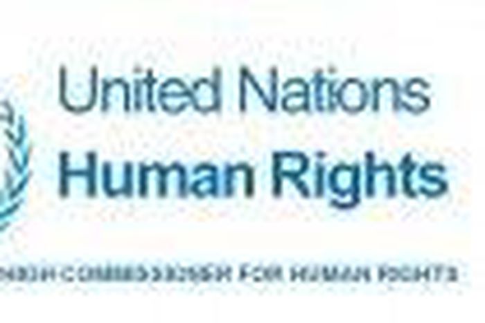 Office of the UN High Commissioner for Human Rights (OHCHR)