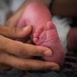 Infertility affects 10 to 15 percent of couples