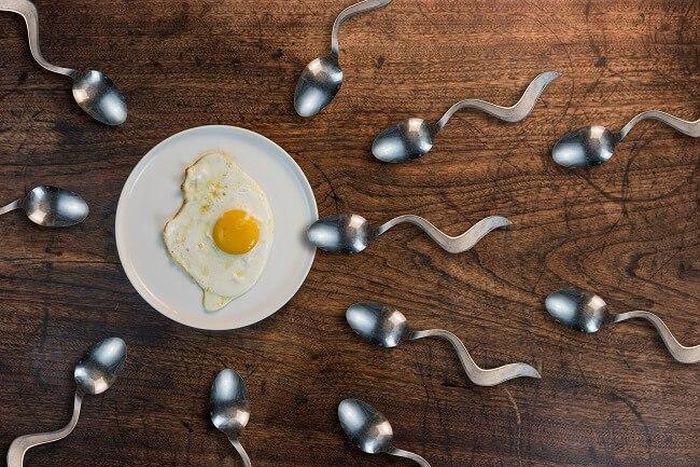 5 food that boosts your sperm count and semen volume