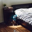 7 common things that shouldn't be found in your bedroom. [bustle]