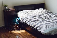 7 common things that shouldn't be found in your bedroom. [bustle]