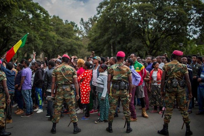 ___8899148___2018___9___25___13___merlin_143867559_4b63d39c-a7a1-4acf-8d1e-ff1dbd08e05b-jumbo