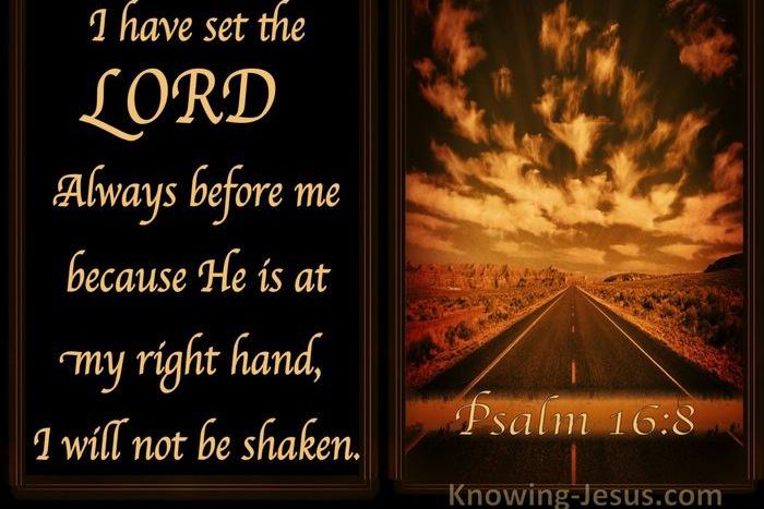 7 encouraging Psalms to hold on to whenever you are struggling. [dailyverse]