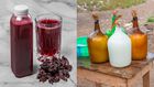 Palm Wine vs Zobo: Which drink defines Naija vibes?