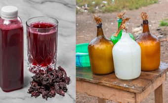 Palm Wine vs Zobo: Which drink defines Naija vibes?