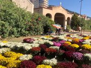 Toussaint n'est pas le Jour des Morts, et voici pourquoi