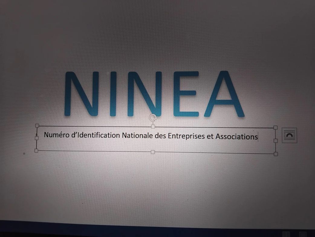 Immatriculation d’entreprises individuelles : les femmes franchissent la barre des 30%
