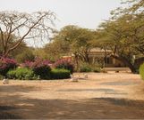 Foyer de charité du Cap des biches à Rufisque : plusieurs ossements découverts