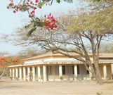 Foyer de charité du Cap des biches à Rufisque : plusieurs ossements découverts