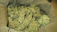 Ziguinchor : un tradipraticien arrêté avec de la fausse monnaie et de la drogue