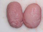 Tabaski : les bienfaits des testicules d'agneau