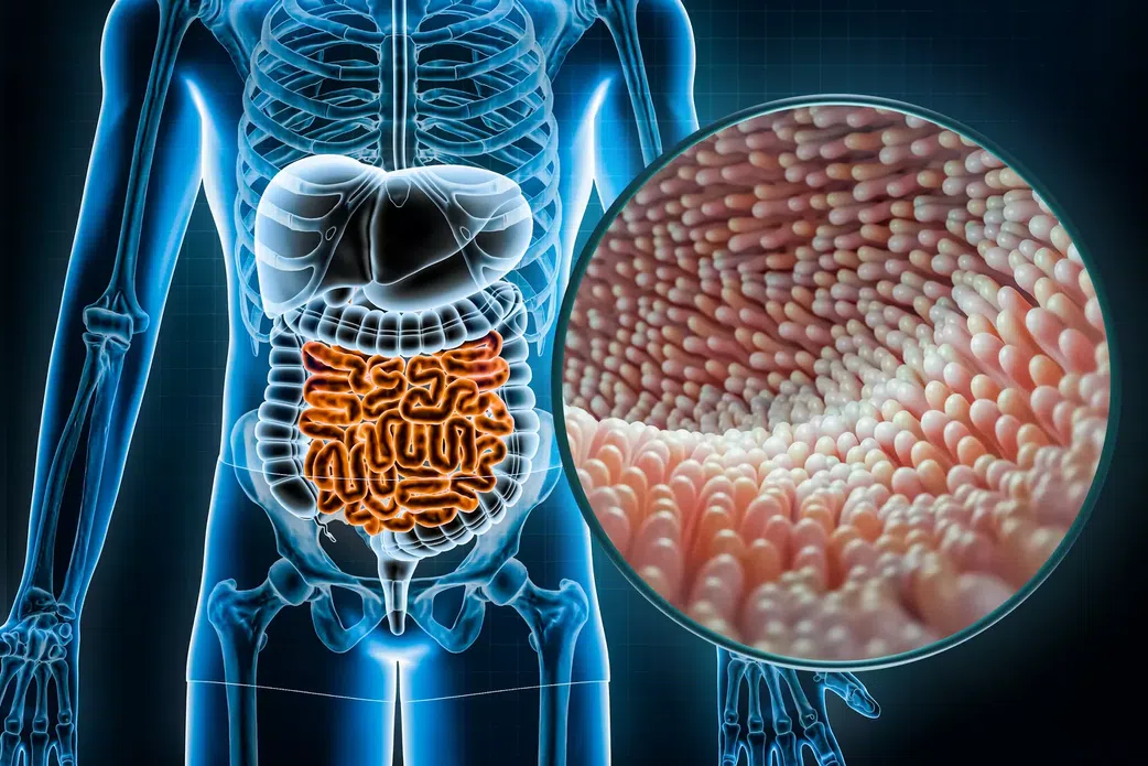 Cancer colorectal : ce signe aux toilettes doit vous alerter