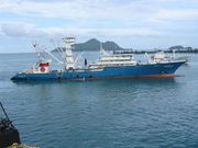 Collision de bateaux en Italie : Un marin sénégalais tué, une enquête ouverte