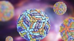 Fièvre de la Vallée du Rift : le bilan grimpe à 17 morts et 119 cas confirmés