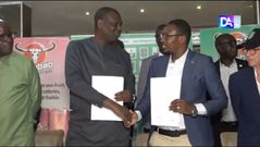 Ligue 1 :   Carabao débarque au Sénégal