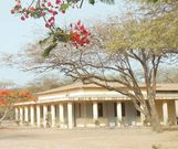 Ossements découverts à Rufisque : des restes humaines ?, l'IFAN saisie pour...