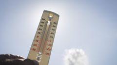 Temps, chaleur, pluies... : les prévisions météo pour chaque région