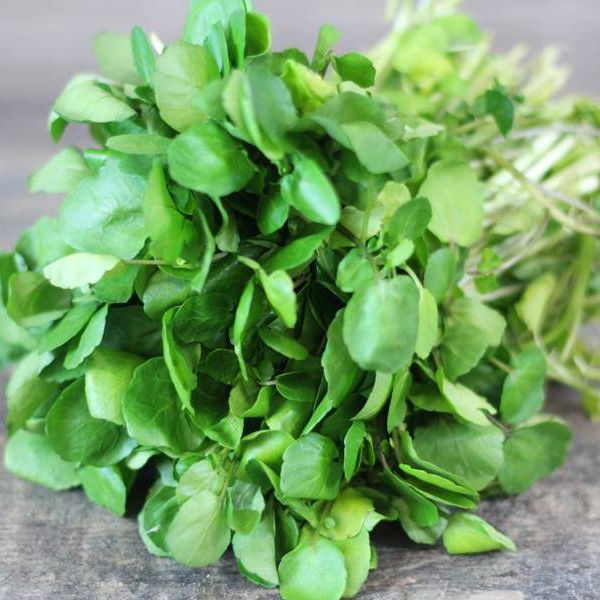 Voici le légume le plus sain de la planète...