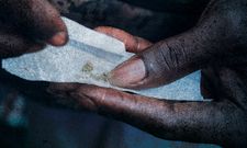 Ils vendaient (aussi) du "Kush" sous couvert de leur pousse-pousse à café