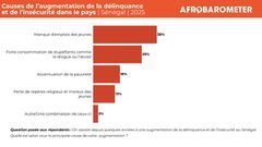 Le Sénégal, 9e pays le plus paisible d’Afrique malgré la montée de la délinquance