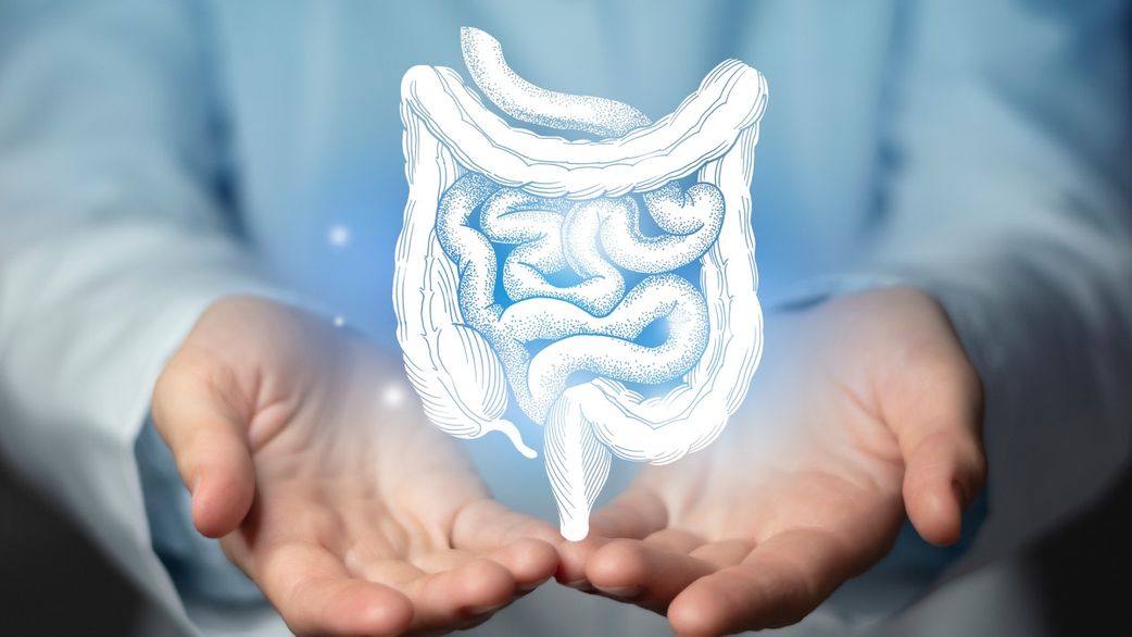 Le cancer du colon (cancer colorectal)