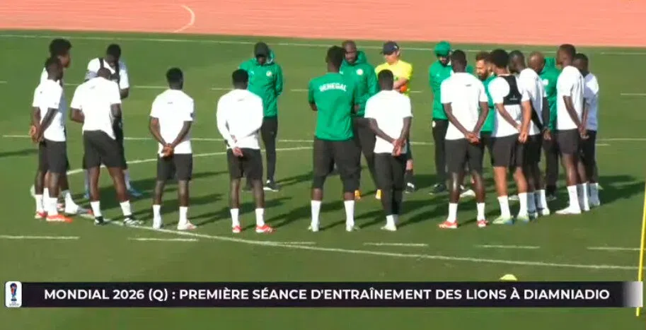 1er galop d'entrainement : 15 Lions ont répondu à l'appel