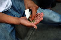 Sénégal : la consommation du kush, la « drogue du zombie » explose