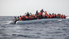 MIGRANT