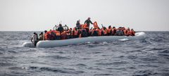 MIGRANT