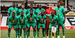 lions du Sénégal