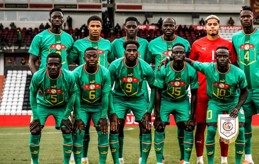lions du Sénégal